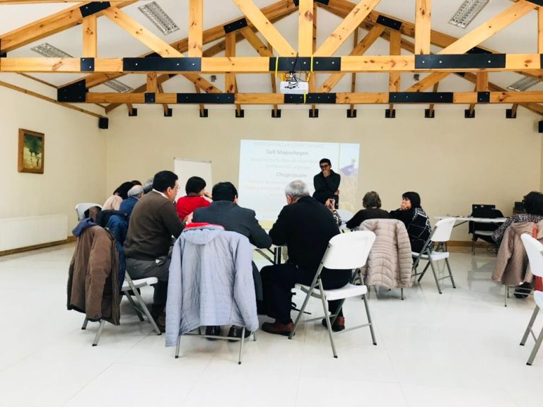 IEII realizó taller de Interculturalidad, Cultura y Cosmovisión Mapuche en Coyhaique