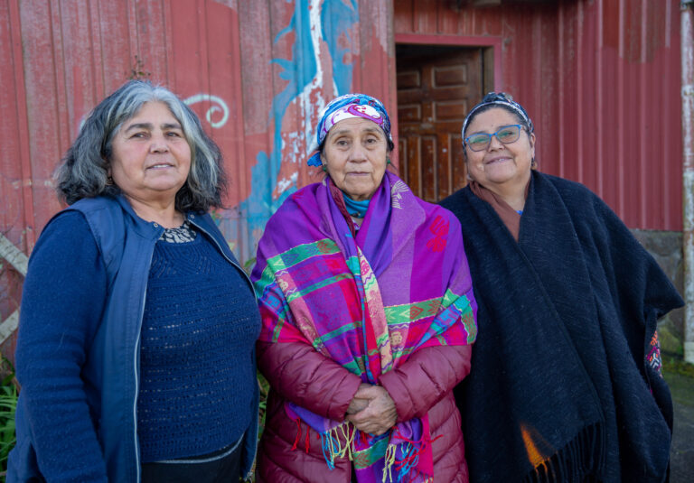 Proyecto UFRO-UNACH reunirá a lideresas mapuche lafkenche y maya en universidad mexicana