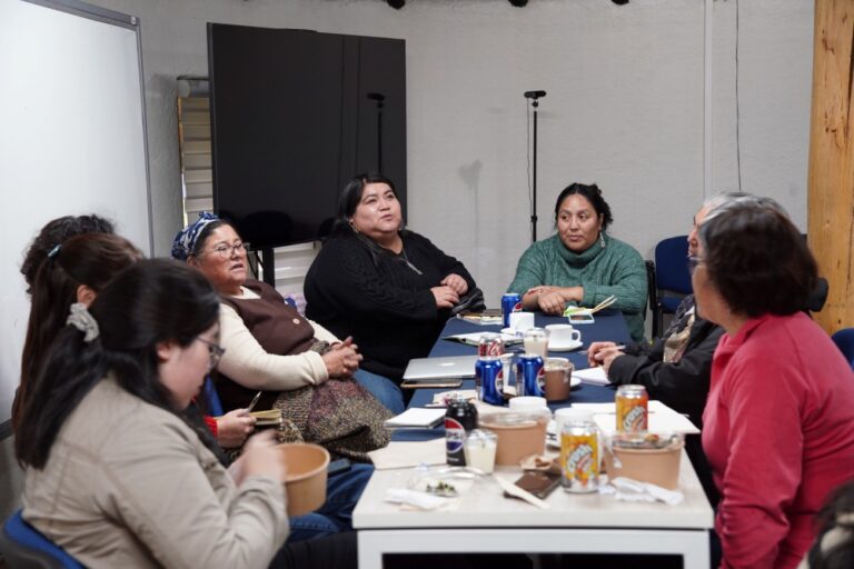 Proyecto “Liderazgo y participación política de mujeres, jóvenes y niñas indígenas para la construcción de paz” impulsa red de lideresas mapuche y tsotsil