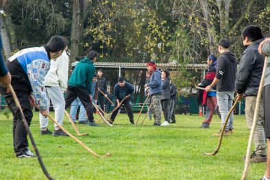 Palín entre maorí y mapuche